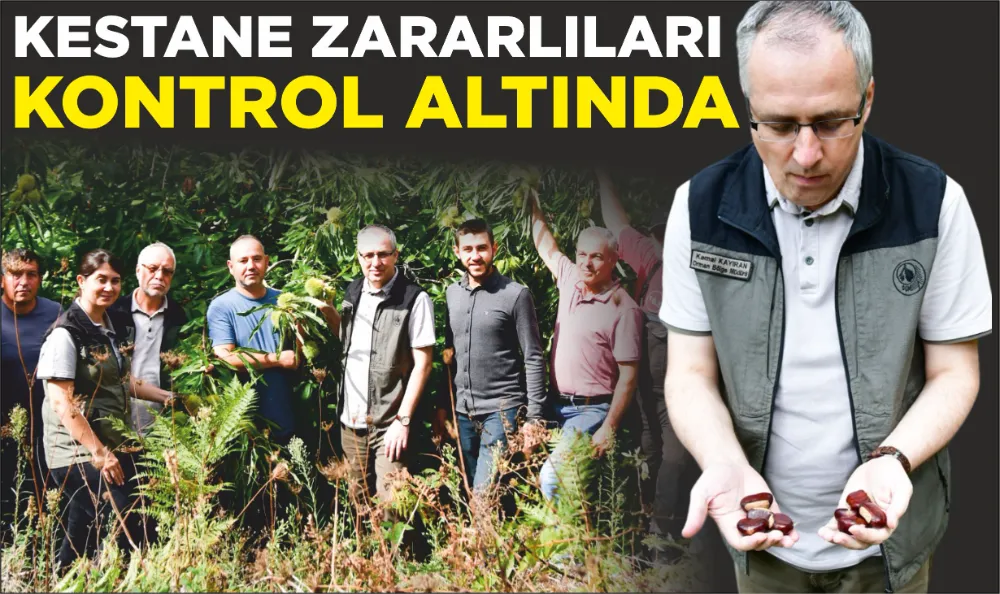 KESTANE ZARARLILARI KONTROL ALTINDA 