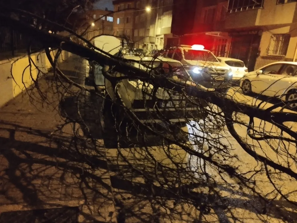 Bandırma ve Erdek’i fırtına vurdu: Çatılar uçtu, ağaçlar devrildi