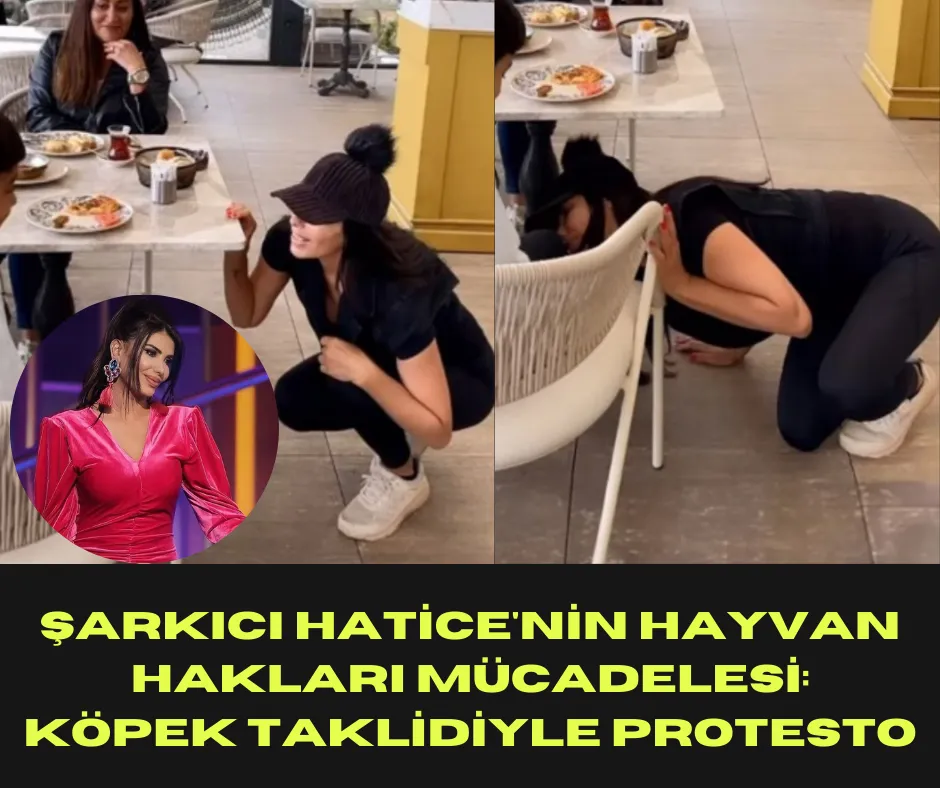 Şarkıcı Hatice