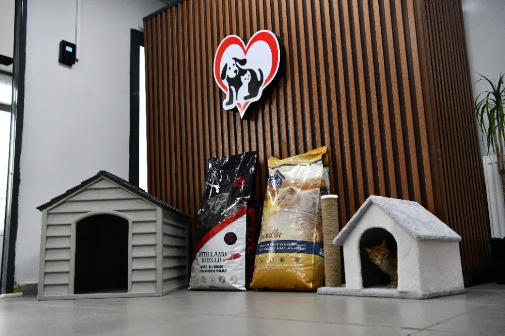 Balıkesir’de can dostlar Büyükşehir eliyle güvende