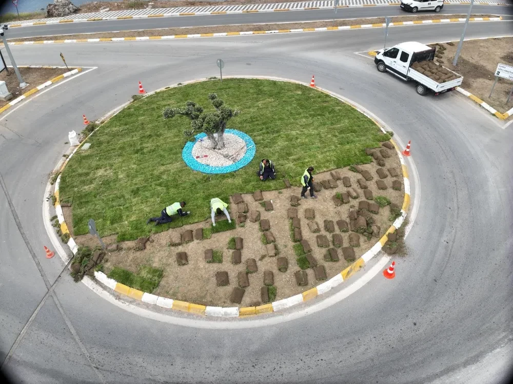 Balıkesir’de belediye kendi çimini üretiyor