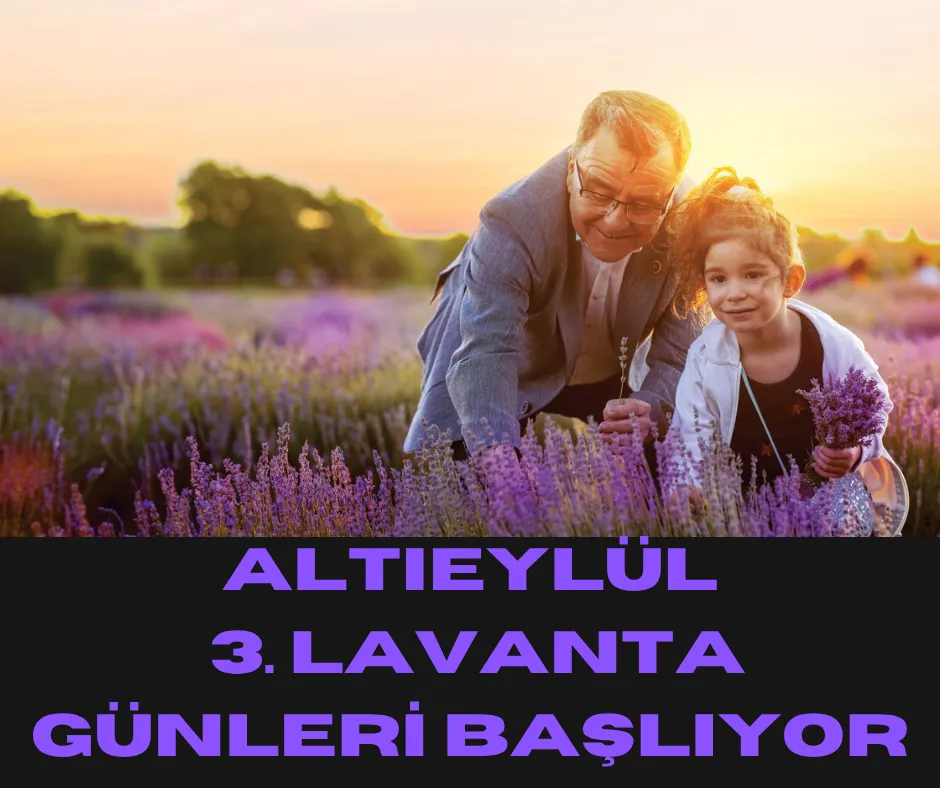ALTIEYLÜL 3. LAVANTA GÜNLERİ BAŞLIYOR
