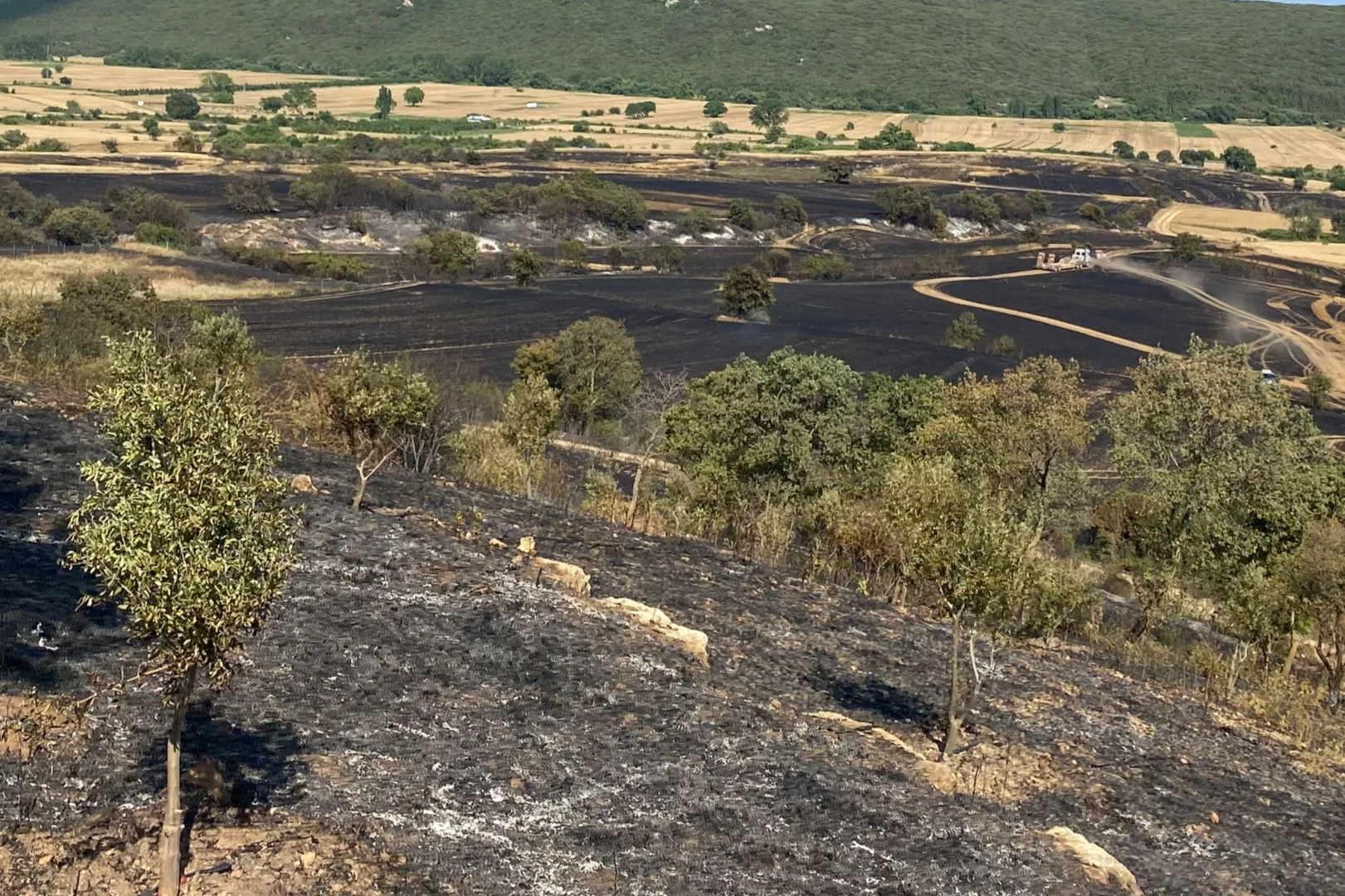 Keşan Mecidiye’de umutlar kül oldu!