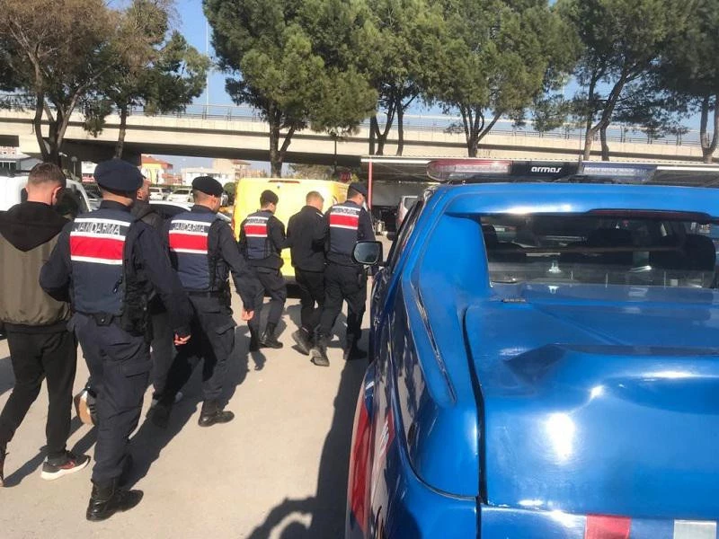 Bahçe Faresi Yakalandı