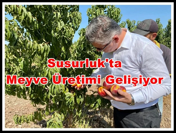 Susurluk